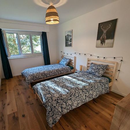 Appartement Spacieux Au Centre De La Gruyere Broc Zewnętrze zdjęcie