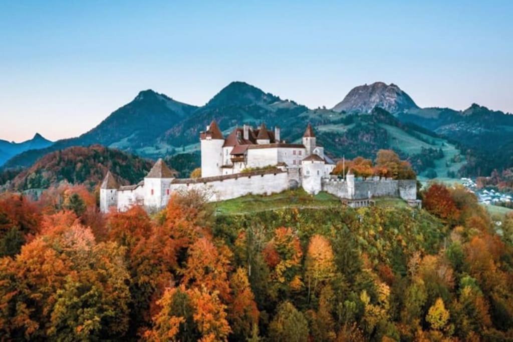 Appartement Spacieux Au Centre De La Gruyere Broc Zewnętrze zdjęcie