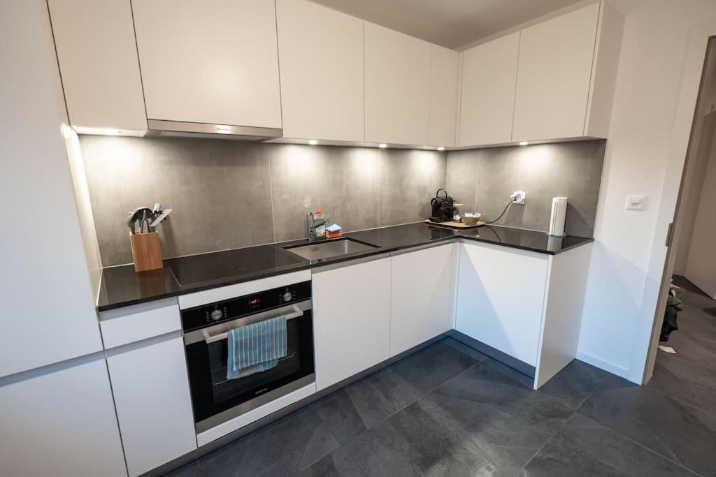 Appartement Spacieux Au Centre De La Gruyere Broc Zewnętrze zdjęcie