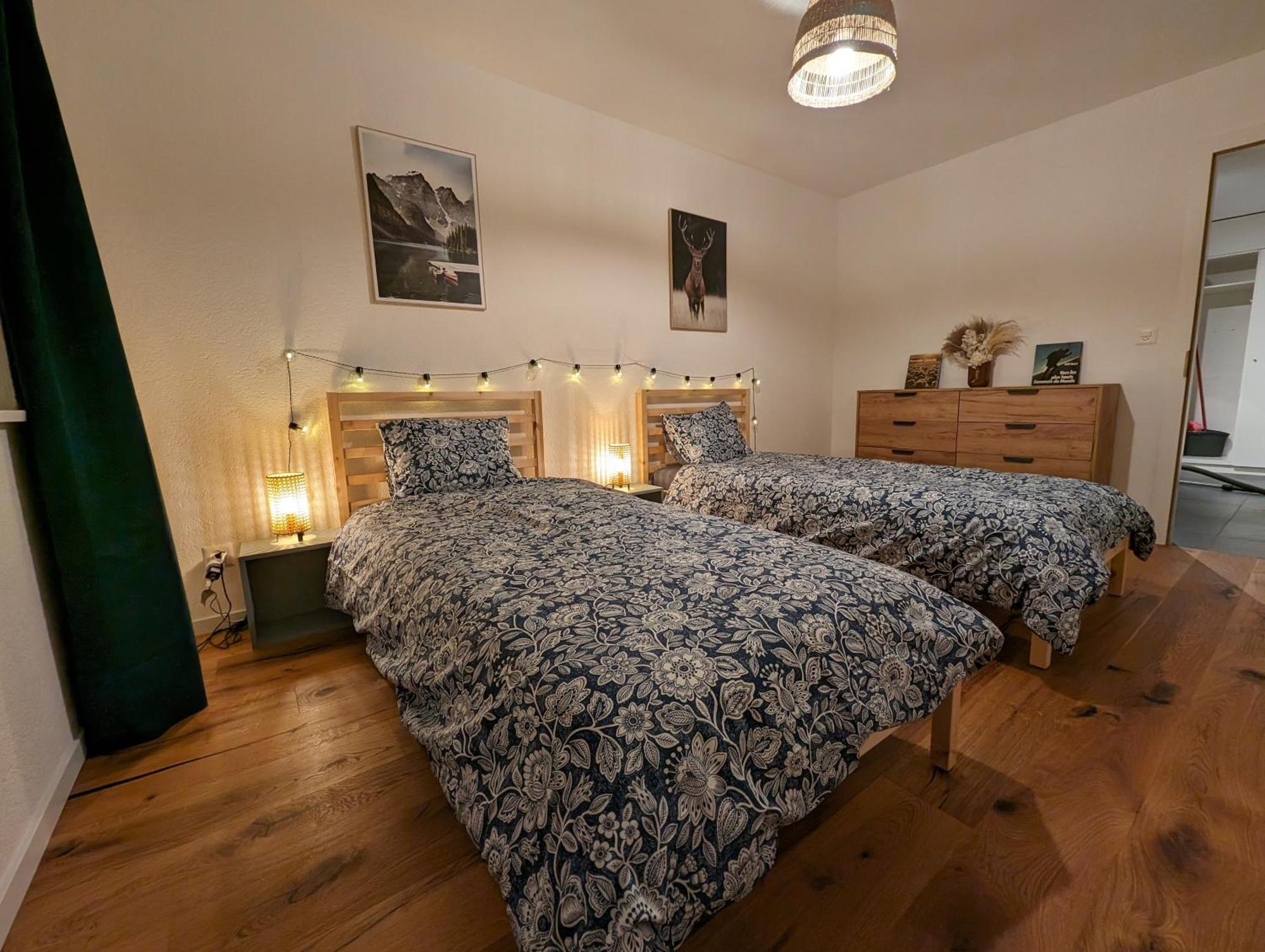Appartement Spacieux Au Centre De La Gruyere Broc Zewnętrze zdjęcie
